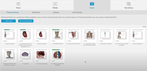 人体解剖学图谱图片2