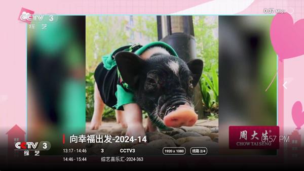 极速电视TV版图片1