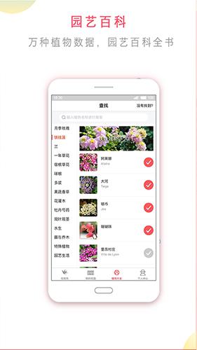 花信app