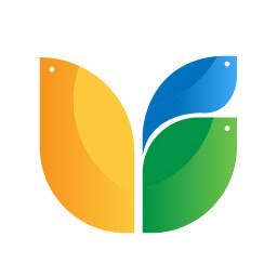 三只鸟云课堂app