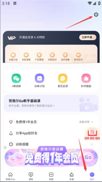 凯格尔Go3