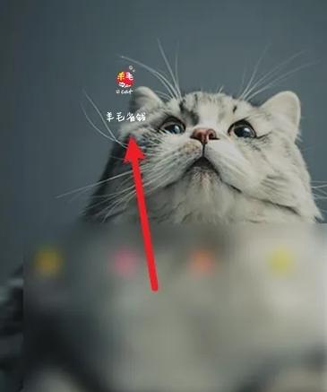 羊毛省钱app图片3