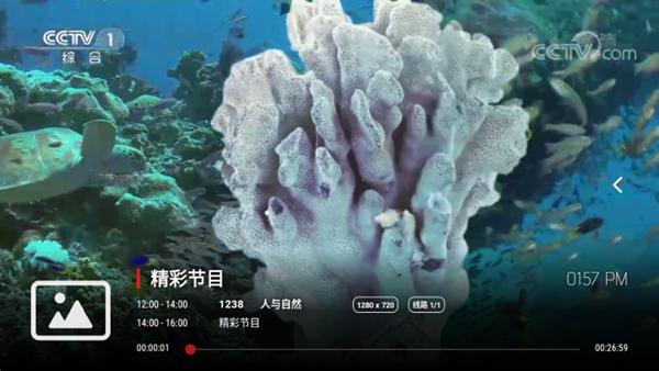 极速电视TV版图片2