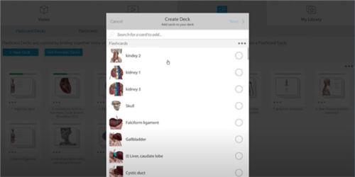 人体解剖学图谱图片4