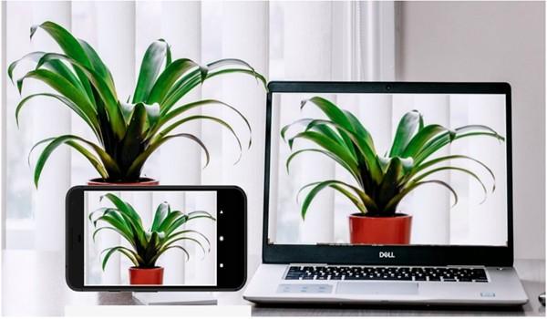 IriunWebcam Pro破解版 安卓版v2.8.8