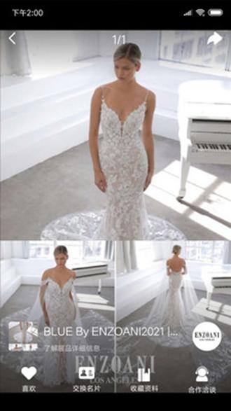 云上会展 安卓版v1.1 安卓版v1.1