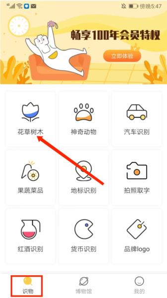 智慧识物图片10