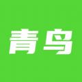 青鸟直聘最新版v1.0.1