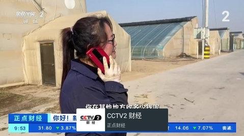 My TV电视版图片1