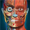 Anatomy Learning 3D 解剖学 安卓最新版v2.1.381
