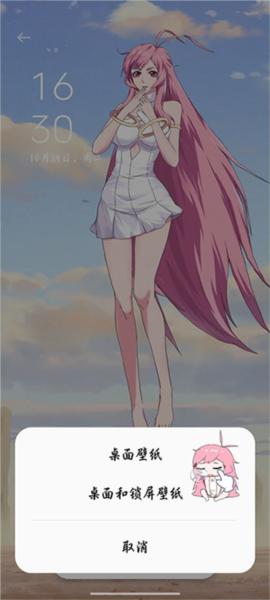 oppo互动桌面图片4