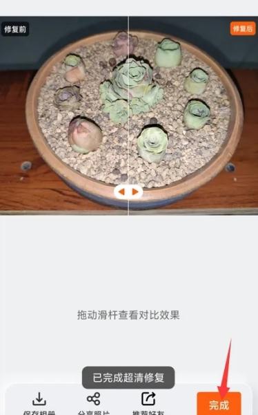 布丁扫描图片15