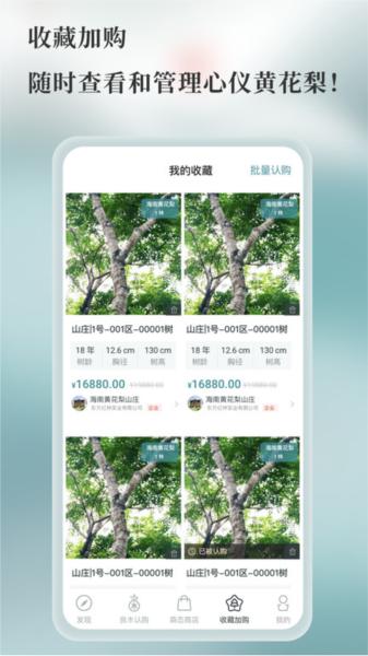 良木森林 安卓版v3.9.0_20240926