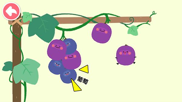 宝宝爱水果蔬菜6