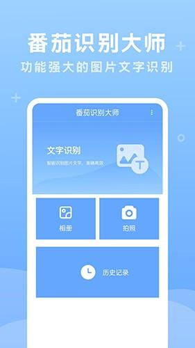 番茄识别大师v1.0