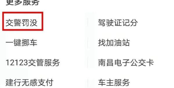 赣服通图片19