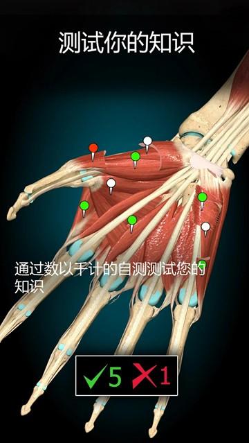 3D解剖学Anatomy Learning完整版 免付费版v2.1.425 免付费版v2.1.425