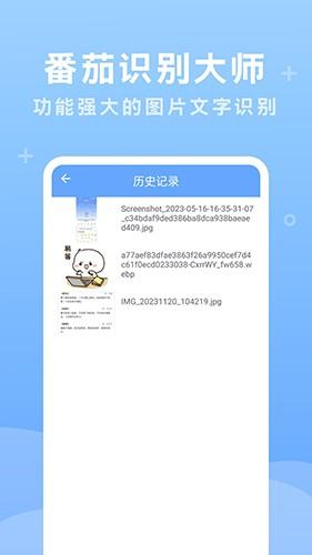 番茄识别大师v1.0