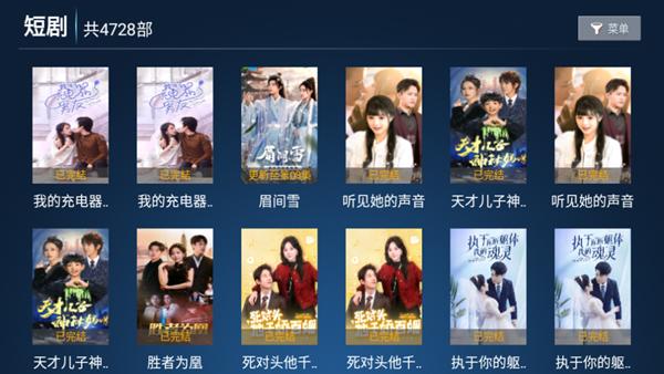 禾夏TV图片2