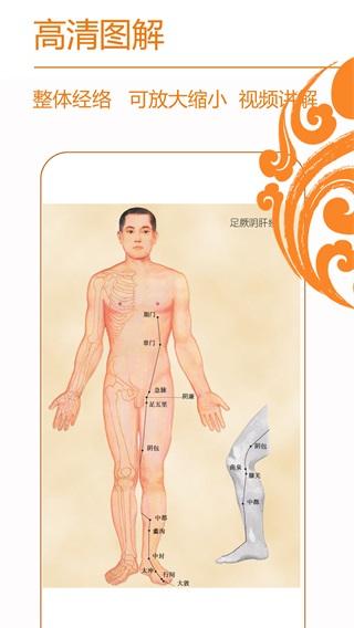 经络养生 安卓版v3.9.1 安卓版v3.9.1