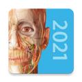 人体解剖学图谱2021 安卓版v1.0