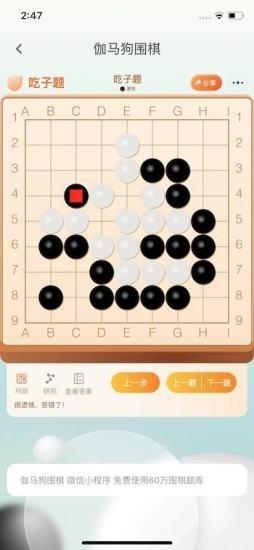 伽马狗围棋 安卓版v1.2.0 安卓版v1.2.0