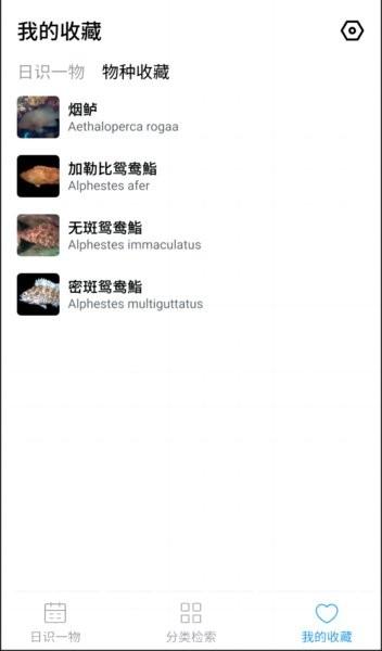 蓝色海域手机版 安卓版v1.0 安卓版v1.0