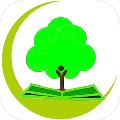 参天大树 安卓版vv10.7