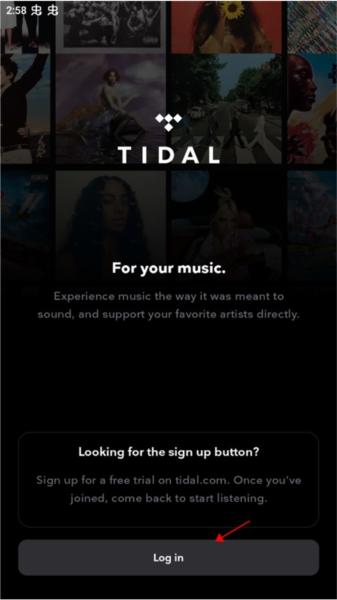 TIDAL图片12