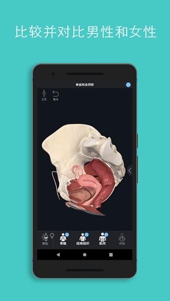 Complete Anatomy软件 安卓中文版v9.5.0 安卓中文版v9.5.0