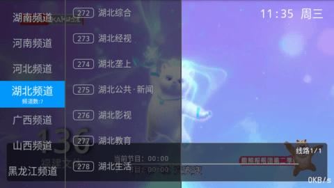 执念直播图片1