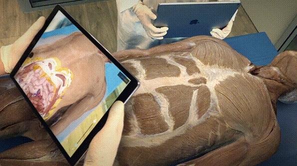 Complete Anatomy图片9