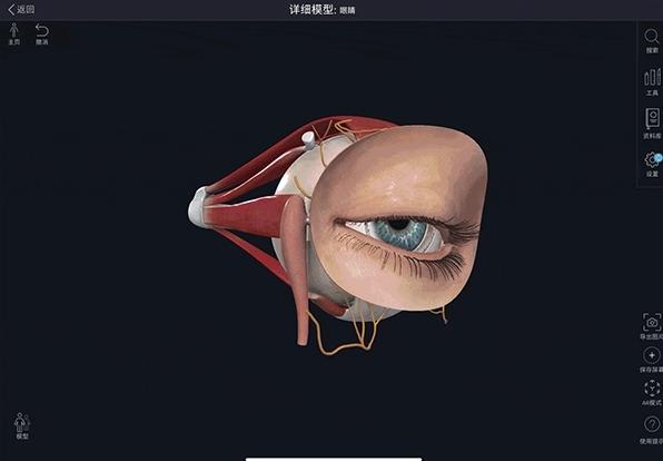 Complete Anatomy图片3