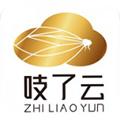 吱了云 安卓版v2.0.1