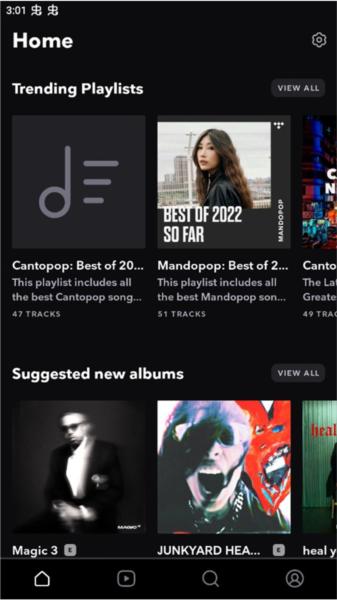 TIDAL图片14