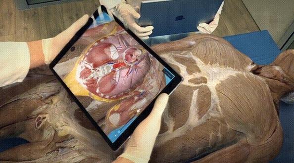 Complete Anatomy图片10