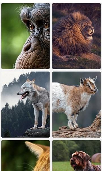 肥猫看看 安卓版v2.1.6