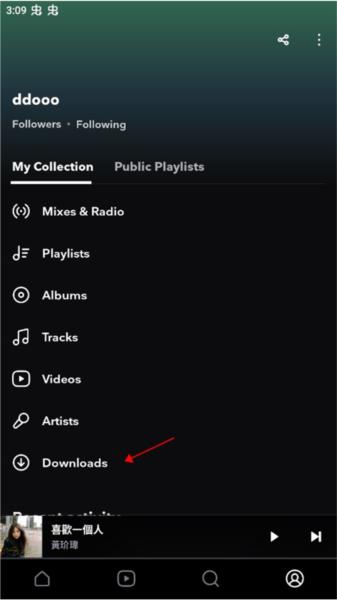 TIDAL图片7