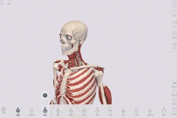 Complete Anatomy图片7