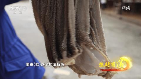 小青椒TV图片1
