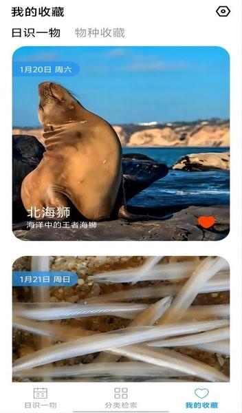 蓝色海域手机版 安卓版v1.0 安卓版v1.0