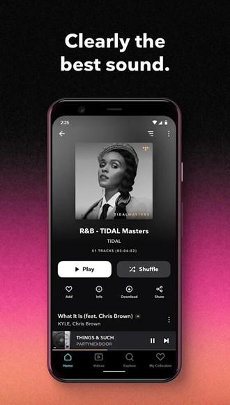 TIDAL图片2