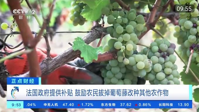 秒看tv官方下载app v8.3.3 安卓最新版 v8.3.3 安卓最新版