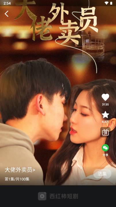 西红柿短剧app手机版 v2.0.5 最新版 v2.0.5 最新版