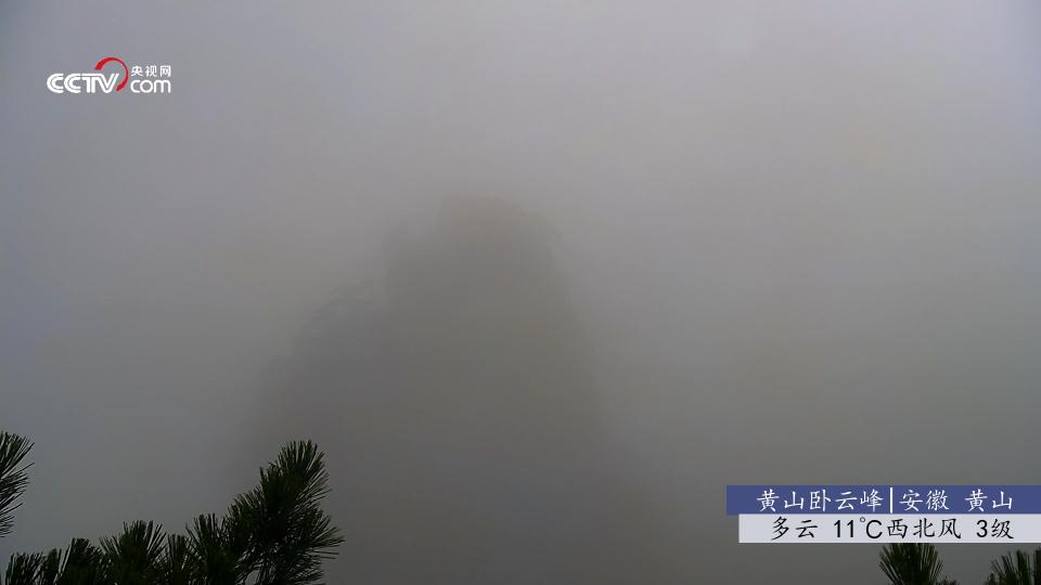 秒看电视tv软件去广告版 v9.2.17 安卓最新版 v9.2.17 安卓最新版