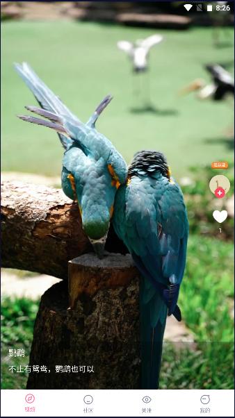 联逗视频红包版2024最新版本 v1.4.2 安卓手机版 v1.4.2 安卓手机版