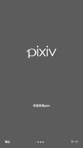 pixiv软件解锁高级去广告版(P站) v6.132.0 安卓版 v6.132.0 安卓版