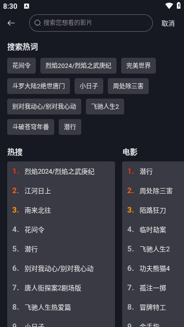网飞猫追剧
