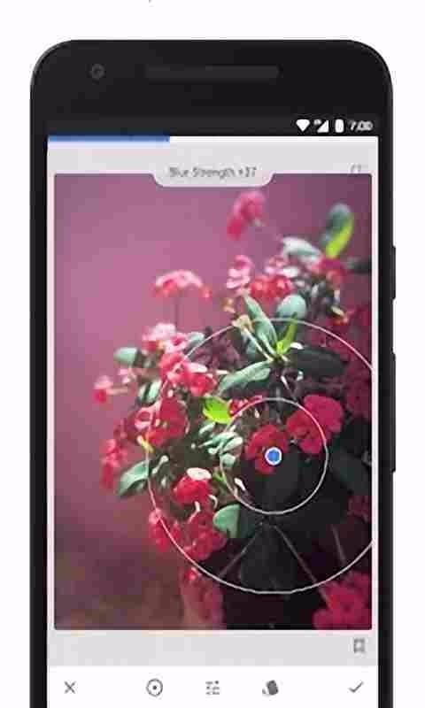 Snapseed照片编辑  v5.3.2