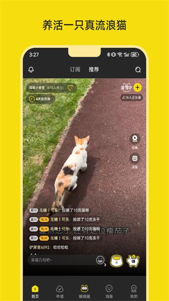 喵喵不易
